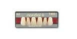 Mondial Line